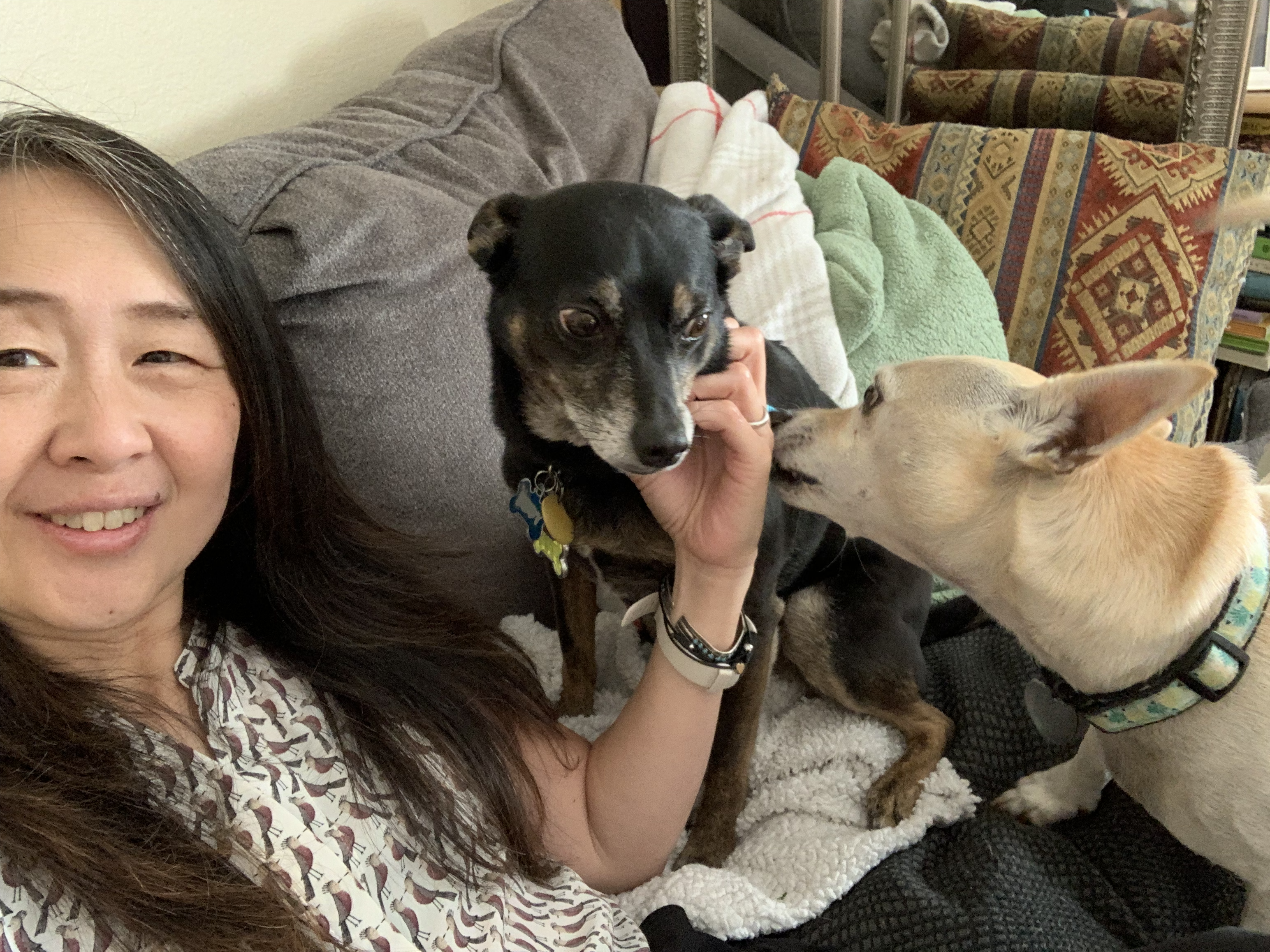 Maiko on a couch with dogs
